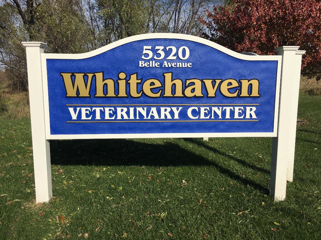 Photo Gallery Whitehaven Veterinary Center in Davenport