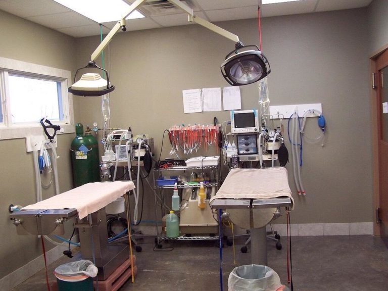 Photo Gallery Whitehaven Veterinary Center in Davenport