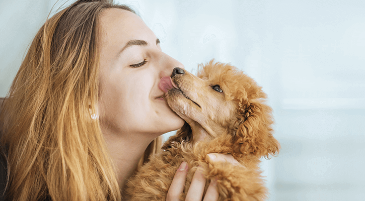 Pet Page Pet Page